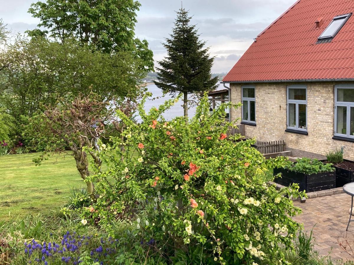 Bogebjerggard Bed & Breakfast 손더보그 외부 사진