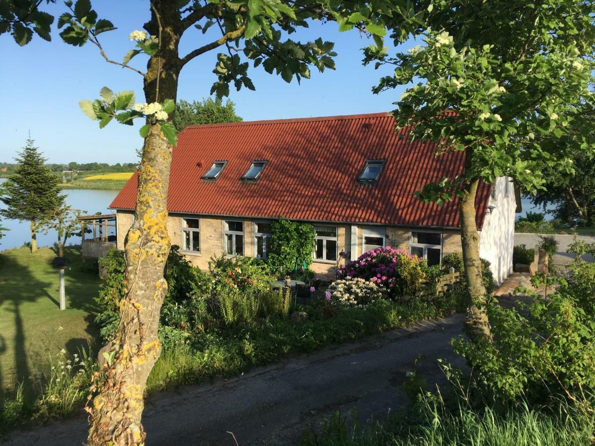 Bogebjerggard Bed & Breakfast 손더보그 외부 사진